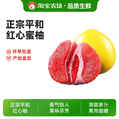 应季鲜果福建平和蜜柚新鲜蜜柚甜柚子当季水果老树精选农场现摘