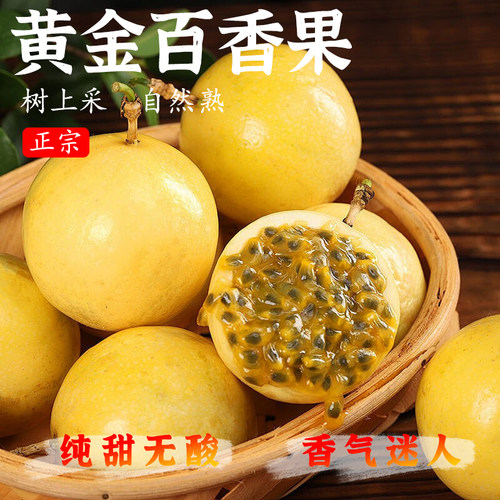 【广西钦蜜9号百香果】黄金百香果香甜多汁皮薄肉厚农家种植