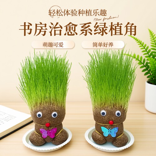 趣味长草娃娃小盆栽简单好养