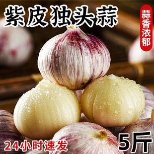 独头蒜云南大理新鲜应季5斤紫皮大蒜现挖现发农家优质特大果蔬菜