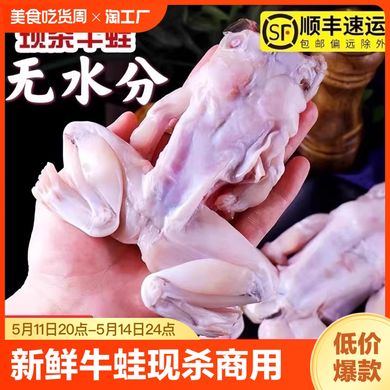 新鲜牛蛙鲜活现杀牛蛙肉商用半成品冷冻蛙腿干锅麻辣田鸡肉青蛙肉 水产肉类/新鲜蔬果/熟食 牛蛙/蛙类制品 原图主图