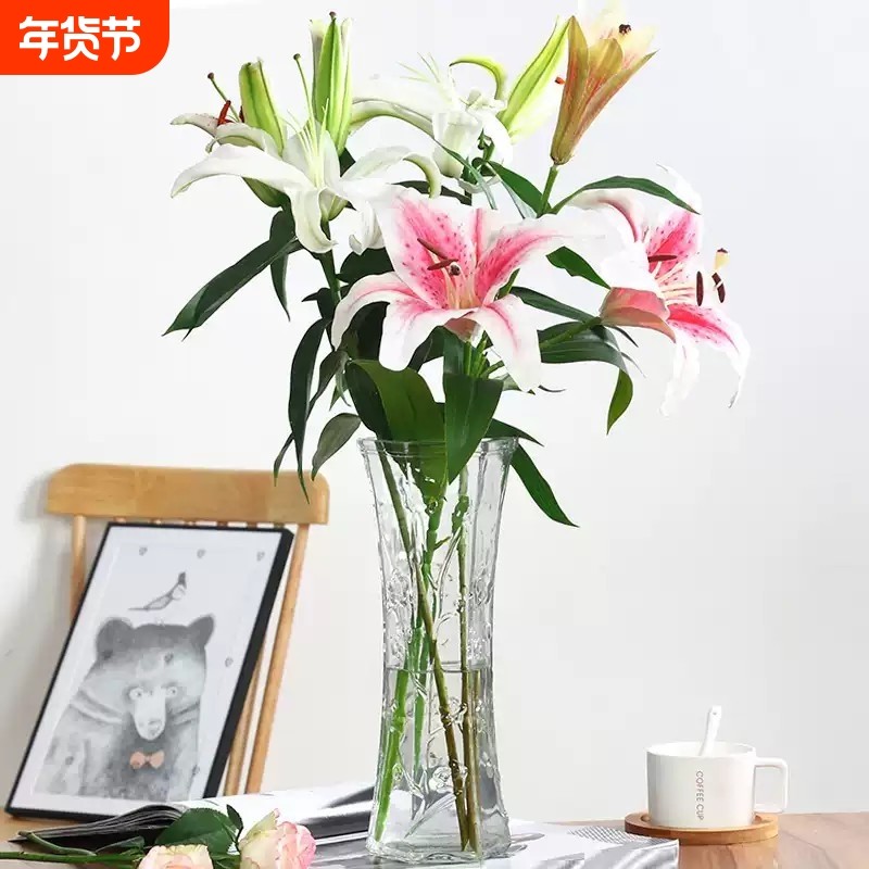 富贵竹花瓶客厅家用玻璃大号透明六角圆形插花瓶摆件装饰桌面氛围