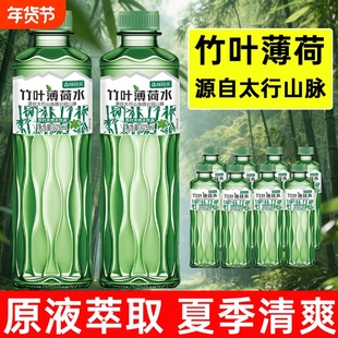 新品竹叶薄荷水305ml整箱无糖原液整箱批苏打天然水弱碱柠檬饮品