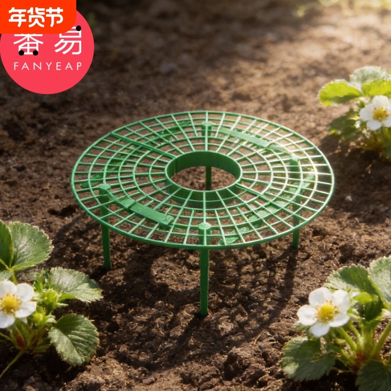 草莓架A1vo001-园艺盆栽水果家庭绿植支架拼接草莓种植架支撑架,鲜花速递/花卉仿真/绿植园艺,花架,淘宝优惠券,粉丝福利购,淘宝优惠卷