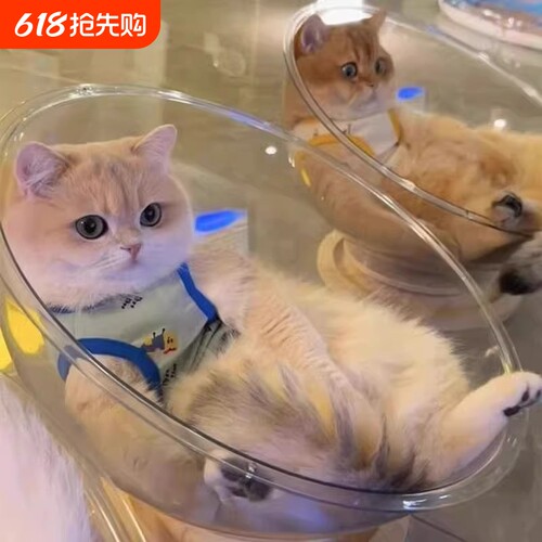 谁家小猫咪拥有超酷猫窝啊