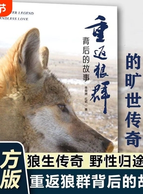 【官方正版】重返狼群背后的故事 李微漪 红娟 著 一部人狼情未了的旷世传奇难以割舍恒以在怀的牵挂探寻人与自然和谐之道