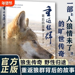 【官方正版】重返狼群背后的故事 李微漪 红娟 著 一部人狼情未了的旷世传奇难以割舍恒以在怀的牵挂探寻人与自然和谐之道