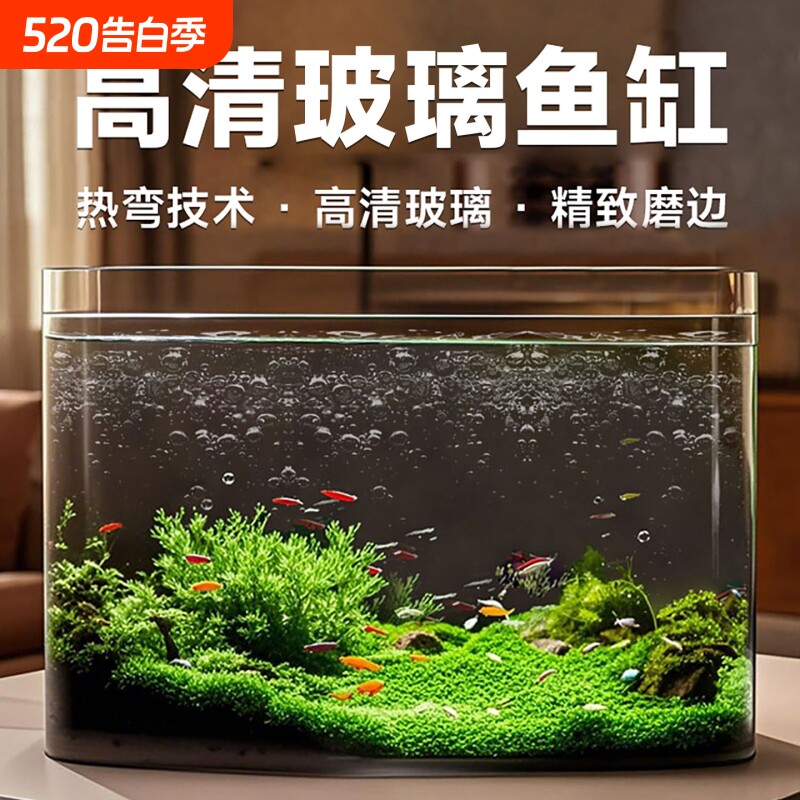 玻璃鱼缸2025桌面生态造景金鱼缸客厅小型热弯水陆缸养鱼氧气泵
