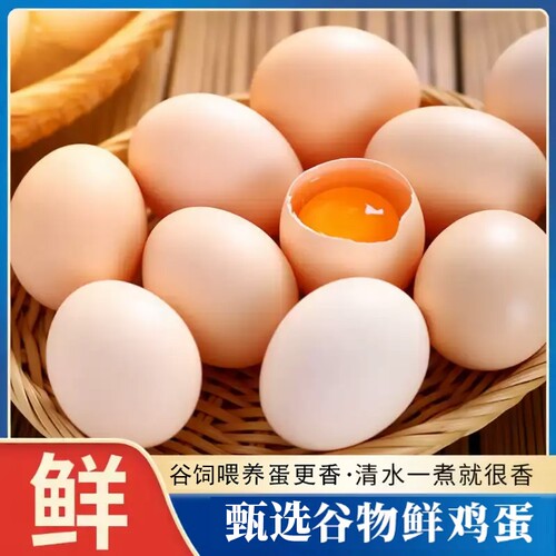 新鲜谷饲鸡蛋50枚|超1000次加购