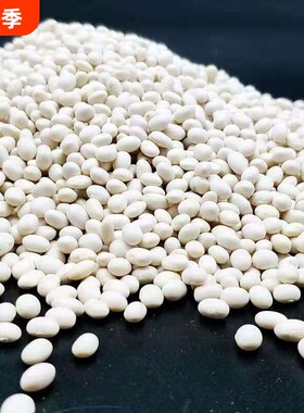 贵州特产新鲜小白豆农家