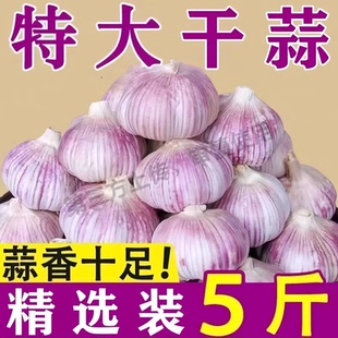 山东大蒜头新干蒜紫皮大蒜5斤批发农家优质大蒜产地价整箱 包邮