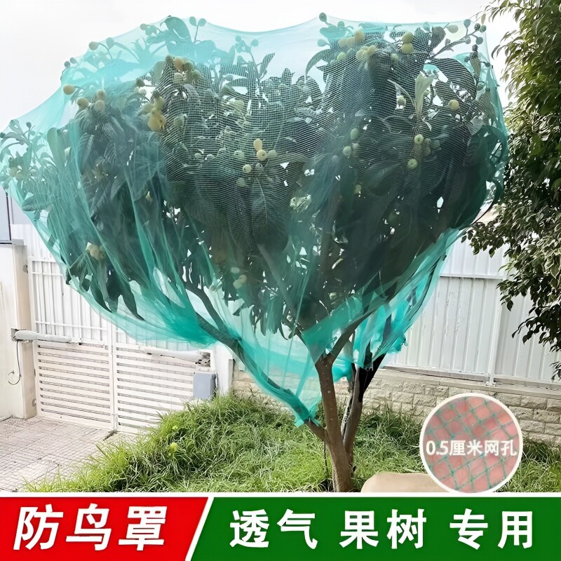 嘉宝果树网罩防鸟罩防鸟围网果园防鸟网樱桃树防冰雹网防护网盆景