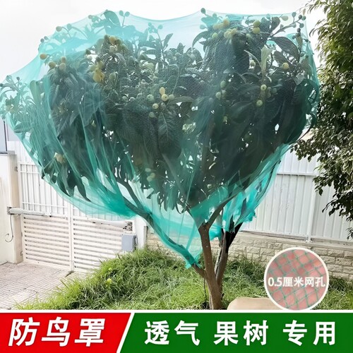果树网罩防鸟罩防鸟围网果园防鸟网樱桃树嘉宝防冰雹网防护网盆景