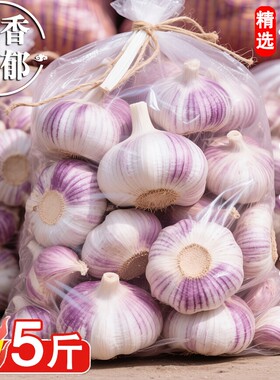 精选山东紫白皮大蒜头新干蒜大果