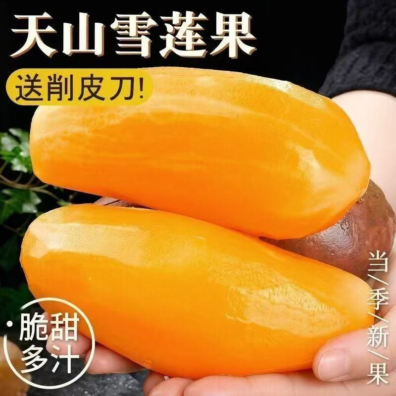 雪莲果新鲜水果黄心大果当季云南天山应季优质甘甜整箱批发包邮