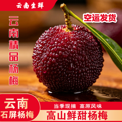云南石屏高山杨梅酸甜爆汁