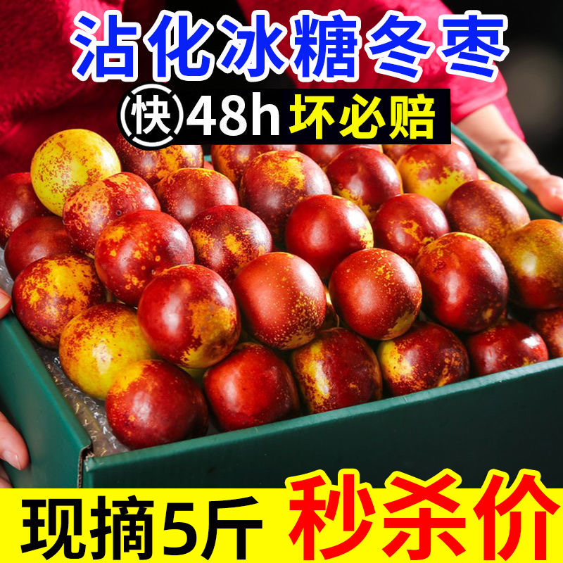 商超供货品质大荔冬枣