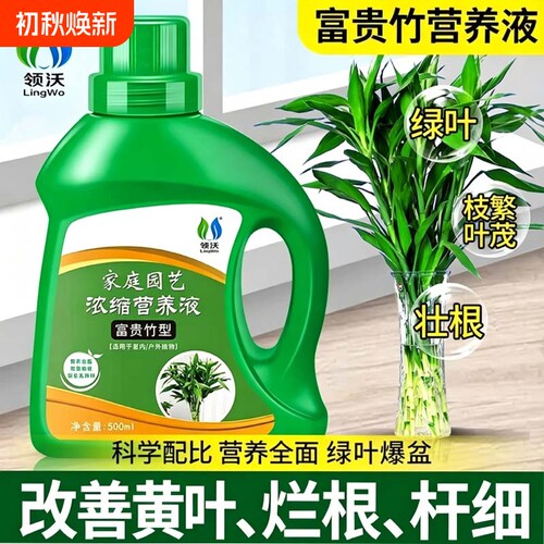领沃富贵竹专用营养液通用液体肥