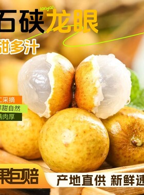 广东茂名石硖龙眼脆甜多汁桂圆新鲜现货速发整箱新鲜当季应季水果