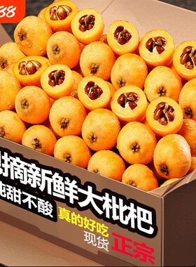 正宗四川攀枝花米易枇杷新鲜大果琵琶孕妇水果甜枇杷包邮
