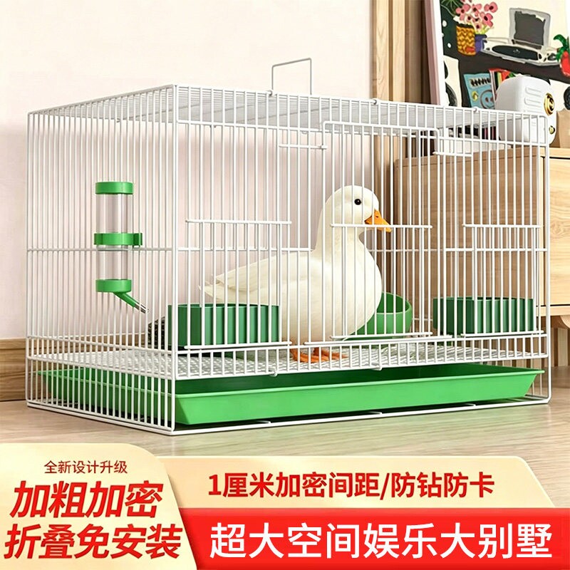 柯尔鸭专用笼子小鸭子鸭笼家用室内柯达防臭鸡笼鹌鹑笼加密鸭笼