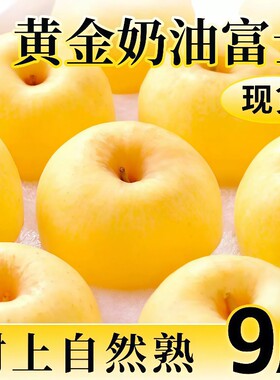 山东烟台黄金奶油富士苹果当季新鲜水果冰糖心牛奶脆甜整箱包邮
