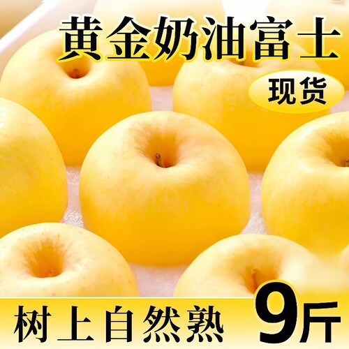 山东烟台黄金奶油富士苹果当季新鲜水果冰糖心牛奶脆甜整箱包邮