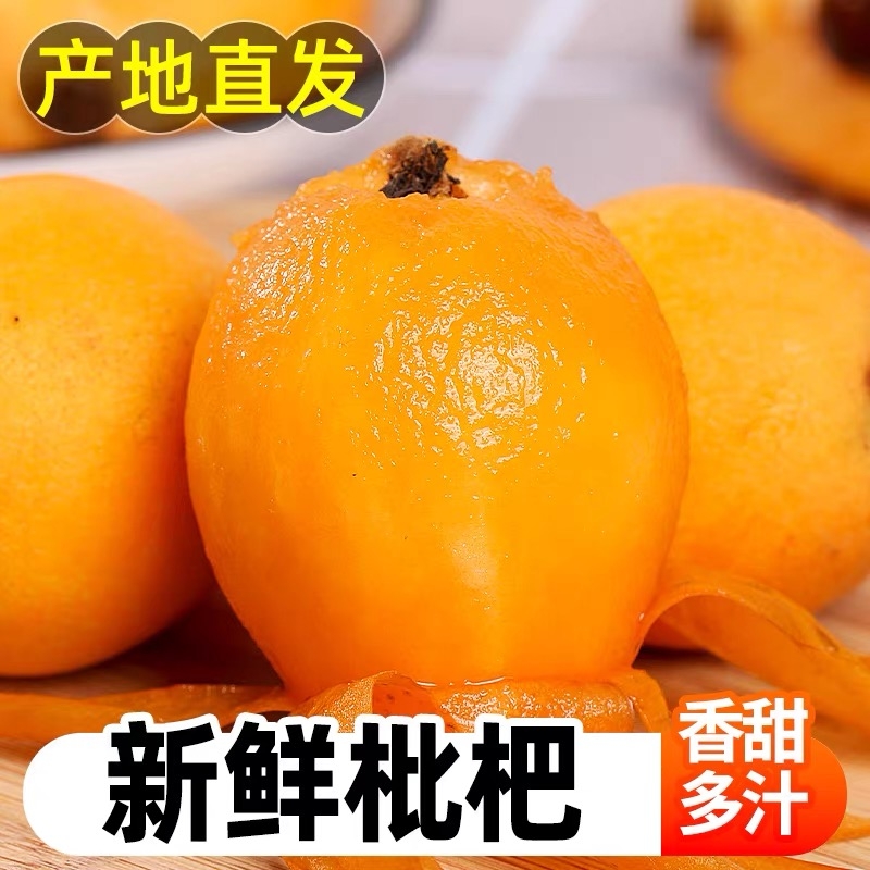 【优质】臻选蒙自长虹中大枇杷树上熟口感香甜枇杷香味足整箱现摘