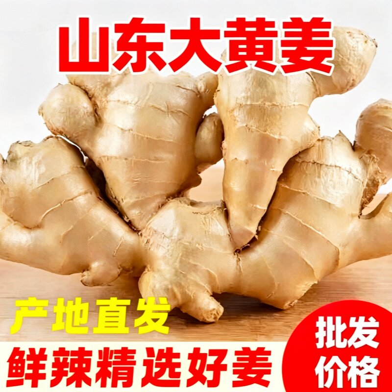 正宗现挖山东大姜生姜老姜新鲜农家黄姜干姜种植带泥食用自提农场