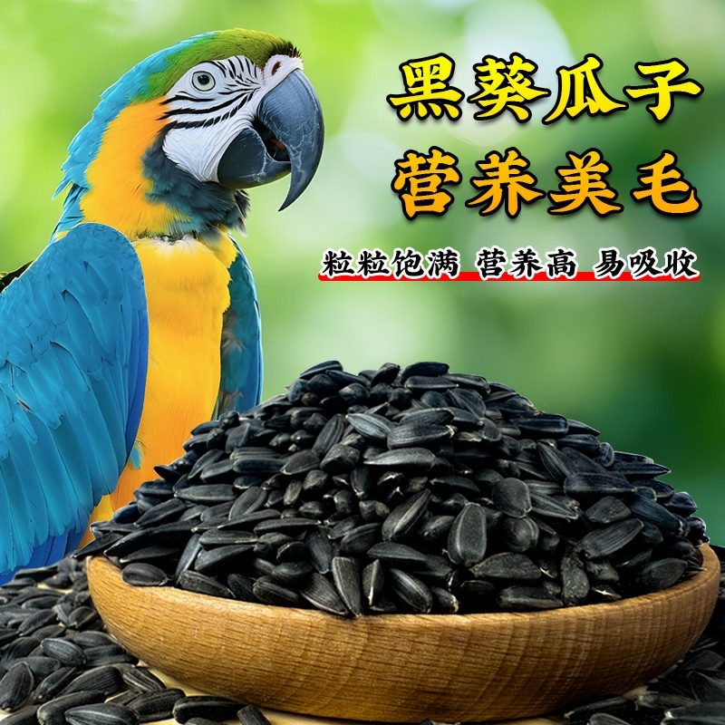 鹦鹉鸟粮饲料鸟食油葵小瓜子奖励零食玄凤虎皮牡丹专用鸟粮食葵花