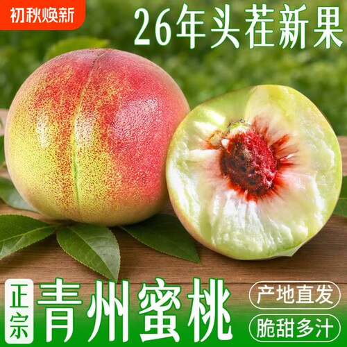 正宗青州蜜桃山东水蜜桃新鲜时令