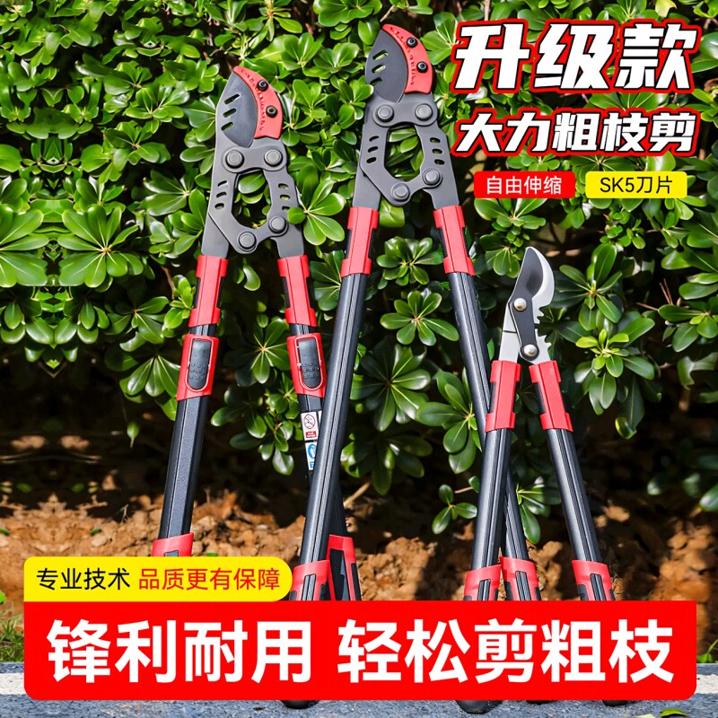 剪枝剪刀修枝果树专用园艺树枝剪修剪神器省力修大枝强力粗枝剪刀图片