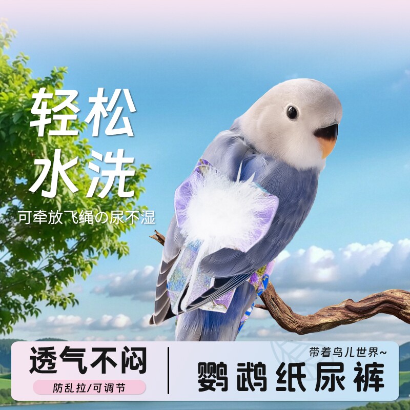 鹦鹉尿不湿透气便兜虎皮牡丹玄凤立体纸尿裤屎兜飞行服放飞八哥
