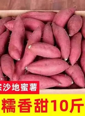 26年新鲜沙地蜜薯红薯番薯黄心糖心地瓜山芋非西瓜红板栗薯香甜