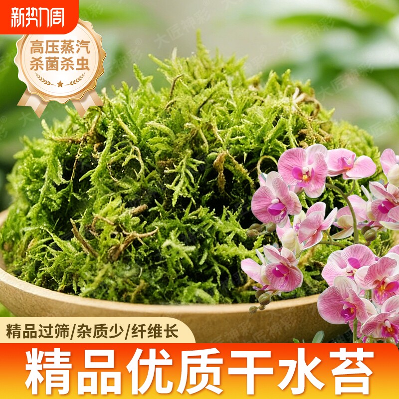 干苔藓水苔蝴蝶兰石斛种植专用营养土天然青苔兰花乌龟垫材氮磷钾
