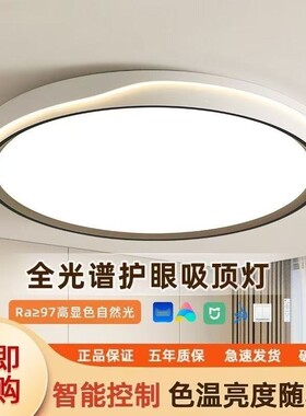 飞雅仕简约现代防蚊防潮吸顶灯