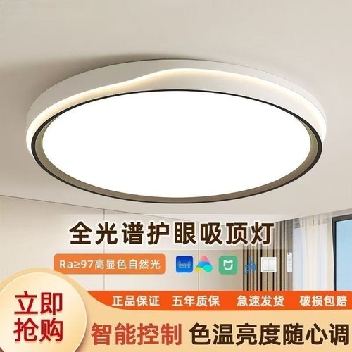 飞雅仕简约现代防蚊防潮吸顶灯