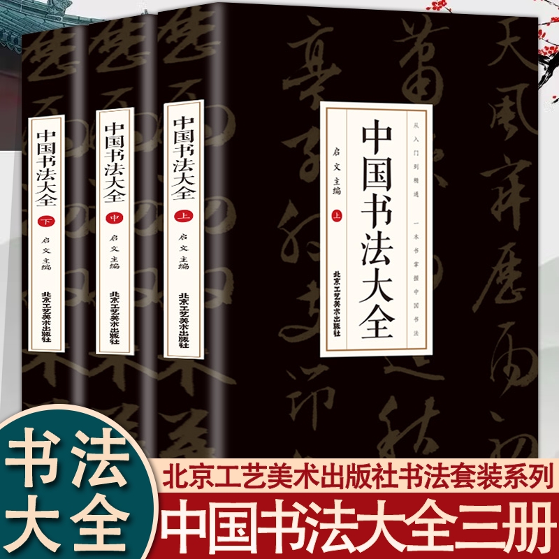 全3册 中国书法大全 从入门到精通学书法颜体石门颂礼器碑曹全碑张迁碑中国传世书法技法书法大全基础入门书