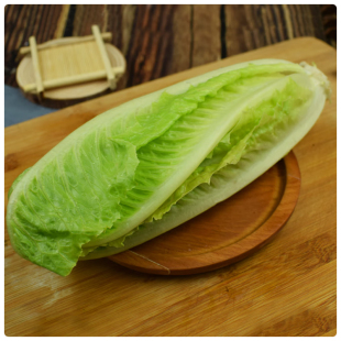 罗马包心生菜大叶速生菜可生吃沙拉小青菜拌饭大叶营养拌面