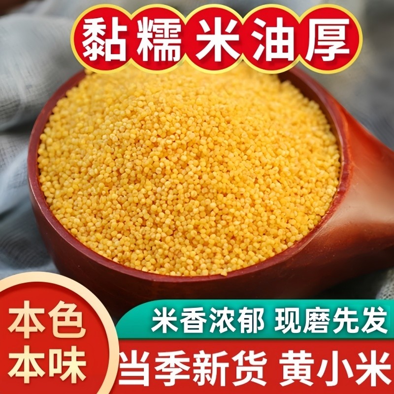 黄小米新鲜香糯醇厚熬米油煮粥五谷杂粮米脂农家山地种植食用袋装