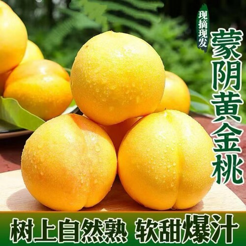 山东蒙阴黄桃黄金桃新鲜水果软硬两吃水蜜桃毛桃子鲜甜新鲜现摘