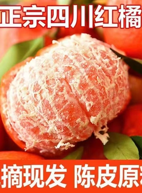 新鲜红橘红桔古红橘老品种桔子陈皮原料橘子整箱柑橘当季水果酸甜