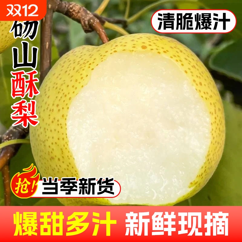 正宗安徽砀山酥梨当季整箱梨子新鲜时令水果应季雪梨砀山梨包邮