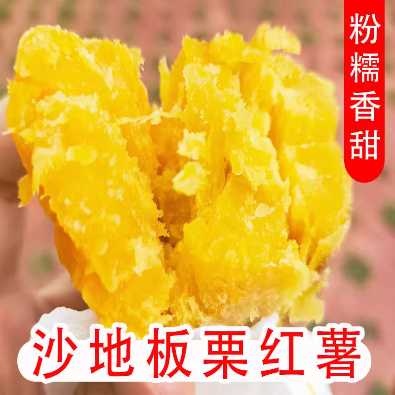 板栗红薯现挖新鲜粉糯香甜黄心番薯正宗鸡蛋黄富硒地瓜美味批发
