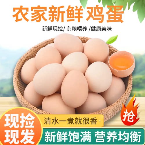 正宗农家散养土鸡蛋新鲜柴鸡蛋营养初生蛋月子蛋虫草蛋多规格