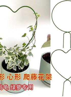 铁艺圆形造型爬藤攀爬架山乌龟雪莹花盆心形绿植盆景支架支撑杆