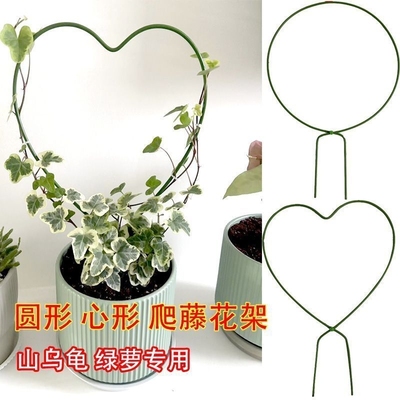 铁艺圆形造型爬藤攀爬架山乌龟雪莹花盆心形绿植盆景支架支撑杆