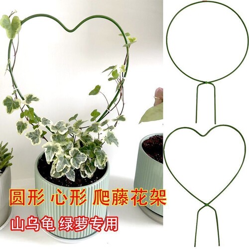 铁艺圆形造型爬藤攀爬架山乌龟雪莹花盆心形绿植盆景支架支撑杆