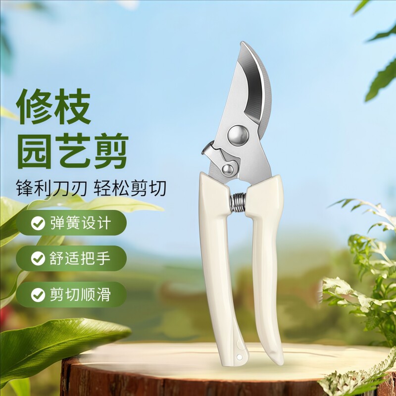 园艺修枝剪剪树剪子圆铃果树剪修枝剪刀家用花木盆栽裁剪专用工具