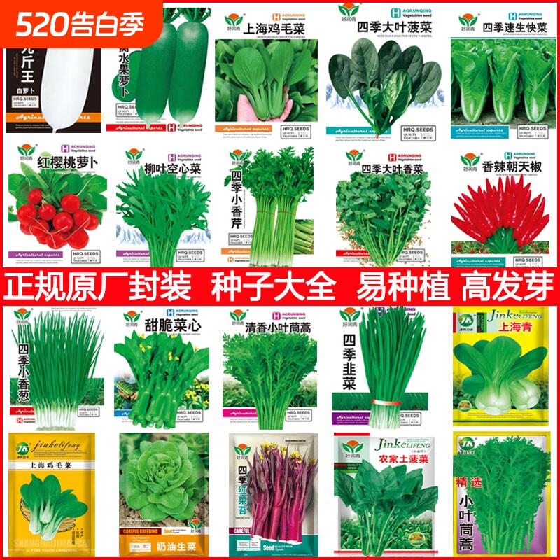 蔬菜种子大全鸡毛菜种子小油菜种籽小白菜四季瓜果籽盆栽庭院阳台